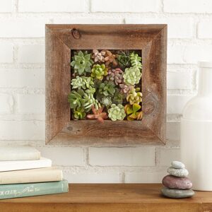 For the Home