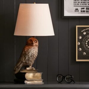 Harry Potter Hedwig lamp from PB Teen