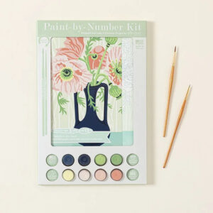 Poppies Paint-by-Number Kit from Uncommon Goods